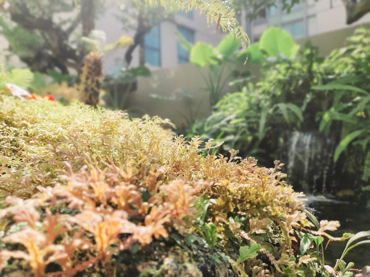 ANA Park Chiang Mai Hotel Luaran gambar